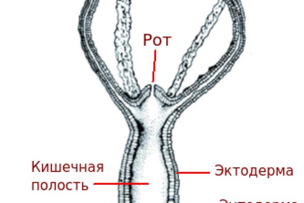 Кракен основная ссылка onion