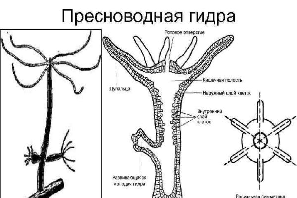 Кракен ворует аккаунты