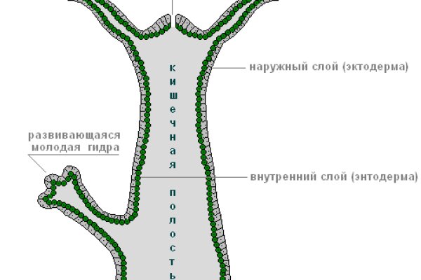 Кракен как зарегистрироваться